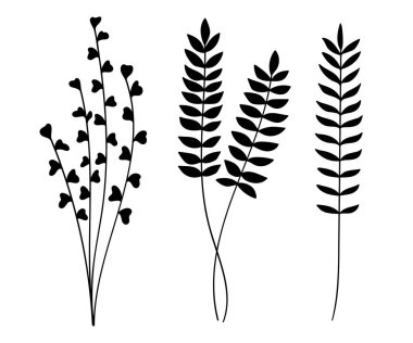 Siluet ağaç dalı ve botanik koleksiyonunu bırakıyor. Vektör illüstrasyonu