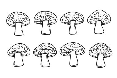 El çizimi mantar koleksiyonu. Renkli sayfa. Vektör illüstrasyonu..