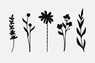 Siluet yaprakları dallar ve çiçekli bitkiler koleksiyonu. Vektör illüstrasyonu