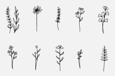 El çizimi botanik yaprak koleksiyonu. Vektör illüstrasyonu.