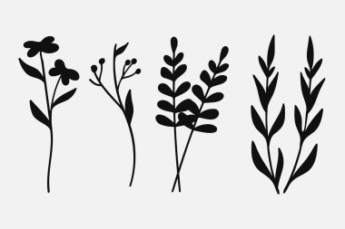 Siluet yaprakları dallar ve çiçekli bitkiler koleksiyonu. Vektör illüstrasyonu