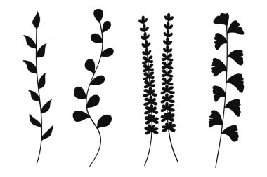 Siluet çiçekleri ve yaprakların yer aldığı botanik çizimler, doğa temalı tasarımlar için mükemmel..