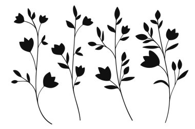 Botanik Koleksiyonunda Yapraklı Siluet Dalları. Vektör illüstrasyonu
