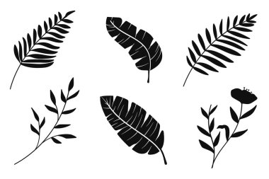 Botanik siluet vektör koleksiyonu. Siyah tropik yapraklar ve çiçekler. Vektör çizimi.