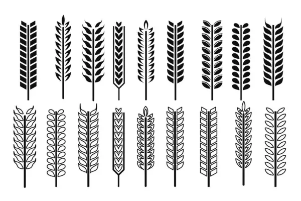 Hem ana hatları hem de kabartma biçimlerinde buğday simgeleri koleksiyonu, vektör biçiminde tarım ve doğa temalı tasarımlar için mükemmeldir..