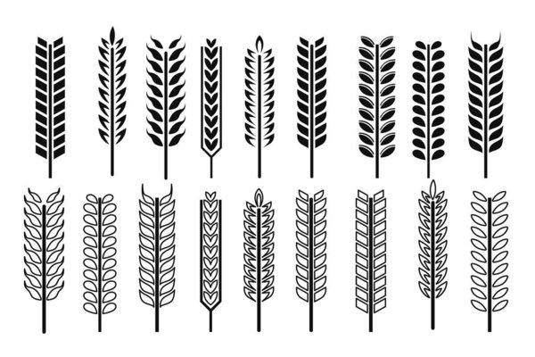 A collection of wheat icons in both outline and glyph styles, perfect for agricultural and nature-themed designs in vector format.