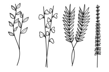El çizimi botanik yaprak koleksiyonu. Vektör illüstrasyonu.