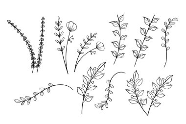 Minimalist bir sanat tarzında çeşitli yaprak ve dallardan oluşan el yapımı bitki çizimleri koleksiyonu.