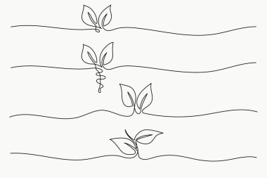 Bir Satır Büyüyen Filizler Koleksiyonu. Botanik Vektör Çizimi