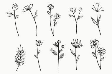 Çiçekler ve Yaprak Çizgisi El Çizimi Koleksiyonu. Vektör illüstrasyonu