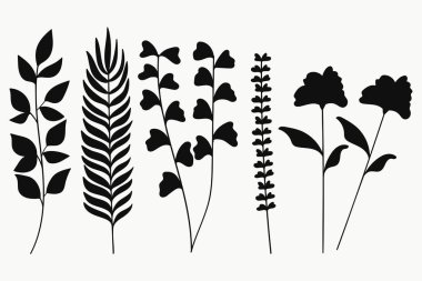 Botanik Siluet Koleksiyondan Ayrıldı. Vektör illüstrasyonu