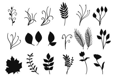 Siluet Botanik Bitkileri ve Çiçekler Koleksiyonu Vintage Çizimi. Vektör illüstrasyonu