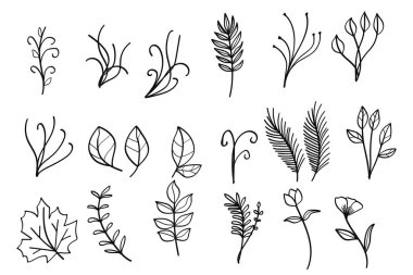 Botanik Bitkileri ve Çiçek Hattı Sanat Koleksiyonu Vintage Çizimi. Vektör illüstrasyonu