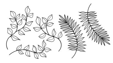 Bitkiler el çizimi sanat koleksiyonu. Vektör illüstrasyonu