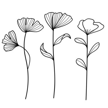 Okaliptüs çiçekli el çizimi koleksiyonu bırakır. Vektör illüstrasyonu