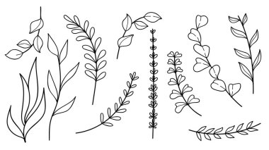 El çizimi sanat botanik yaprakları ve çiçek unsurları koleksiyonu. Vektör illüstrasyonu.
