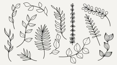 El çizimi sanat botanik yaprakları ve çiçek elementleri ayarlandı. Vektör illüstrasyonu.