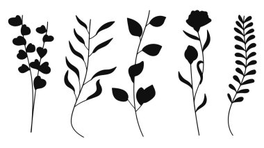 Botanik siluet elementleri koleksiyonu farklı türde yaprak ve dallar içerir. Vektör illüstrasyonu