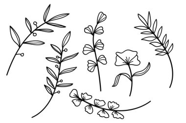 El çizimi sanat botanik yaprakları ve çiçek unsurları koleksiyonu.