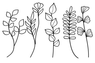 El çizimi sanat botanik yaprakları ve çiçek unsurları koleksiyonu. Vektör illüstrasyonu.