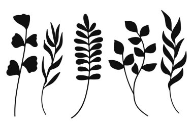 Farklı türde yaprak ve dallar içeren çeşitli botanik elementlerin beş farklı siyah siluet çiziminden oluşan çok yönlü bir koleksiyon..