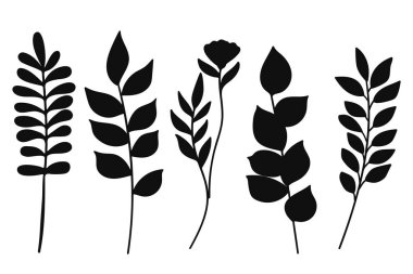 Farklı türde yaprak ve dallar içeren çeşitli botanik elementlerin beş farklı siyah siluet çiziminden oluşan çok yönlü bir koleksiyon..