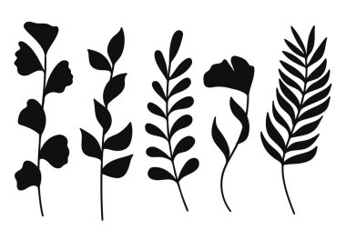 Farklı türde yaprak ve dallar içeren çeşitli botanik elementlerin beş farklı siyah siluet çiziminden oluşan çok yönlü bir koleksiyon..