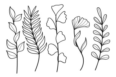 El çizimi sanat botanik yaprakları ve çiçek unsurları koleksiyonu. Vektör illüstrasyonu.