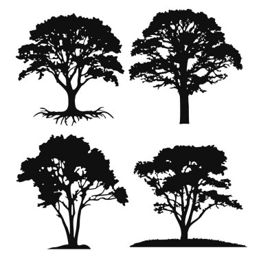 Ayrıntılı Ağaç Siluetleri Koleksiyonu. Vektör İllüstrasyonu.