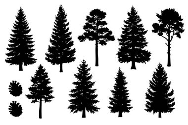 Çeşitli siyah çam ağacı ve çam kozalağı siluetleri içeren çok yönlü bir vektör çizimi.