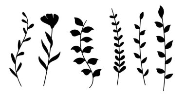 Zarif Çiçek ve Botanik Siyah Siluetleri. Vektör illüstrasyonu