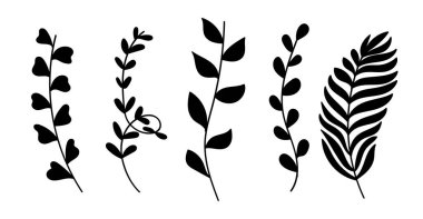 Palmiye yaprakları da dahil olmak üzere çeşitli tropik ve orman yapraklarından oluşan çok yönlü bir siyah vektör silueti..