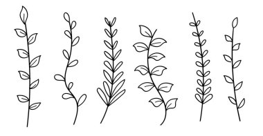 Zarif El Çizimi Minimalist Botanik Vektör Çizgisi Dekoratif Bitkiler ve Yapraklar Sanat Koleksiyonu