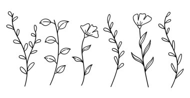 Minimalist botanik soyut kır çiçeği çizgisi sanat eseri koleksiyonu. Vektör illüstrasyonu.