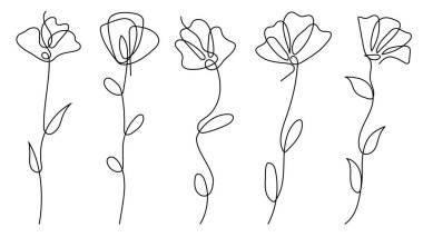 Çiçekler, bitkisel elementlerin toplanması için çizilmiş. Vektör illüstrasyonu