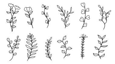 El yapımı klasik botanik bitkileri ve çiçek koleksiyonu düğün davetiyesi ve dekorasyon için. Vektör illüstrasyonu.