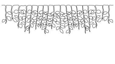 Botanik Tasarım için Asma Santralleri ve Yaprak Çizgisi Çizim Sınırı Dekorasyonu. Vektör illüstrasyonu