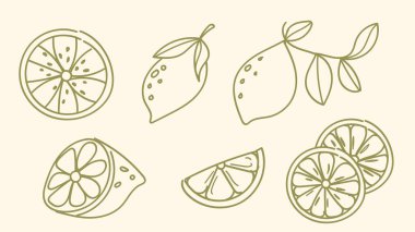 Limon ve Dilimleme Hattı Sanat El Koleksiyonu. Yiyecek ve içecek tasarımı için klasik stil. Vektör illüstrasyonu
