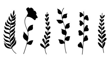 Bitkisel ve Organik Tasarım İçin Yapraklar ve Çiçekler Siluet Doğa Koleksiyonu. Vektör illüstrasyonu