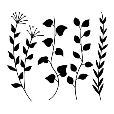 Siluet Bitkileri Çiçek Koleksiyonu Botanik Dekorasyon Elementi. Vektör İllüstrasyonu