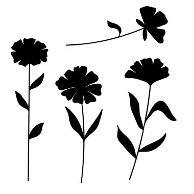 Siluet Çiçekleri Koleksiyonu Botanik Dekorasyon Elemanı. Vektör İllüstrasyonu