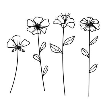 El Tarlası Vahşi Çiçekler ve Yaprak Çizgisi Sanatı seti. Basit Botanik Çizim Koleksiyonu. Vektör illüstrasyonu
