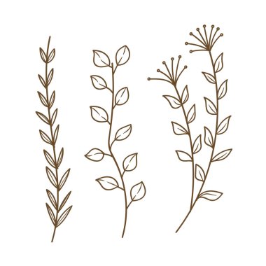 El Kaplama Bitkileri ve Yaprak Çizgisi Sanatı. Basit Botanik Taslak Koleksiyon Vektörü İllüstrasyonu
