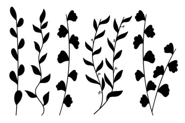 Siluet Botanik Bitkileri Çiçek Kökü Koleksiyonu Minimalist Botanik Dekorasyon Elemanı. Vektör İllüstrasyonu
