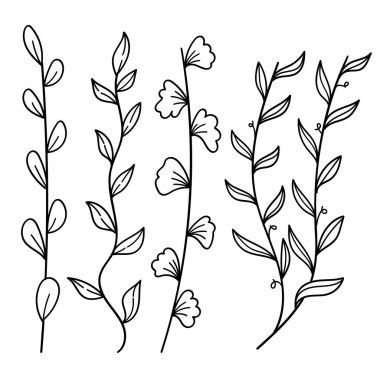 Bitki Hattı Sanat Koleksiyonu Set. El Çizimi Botanik Yaprakları ve Çiçek Sprigs Vektör İllüstrasyonu.