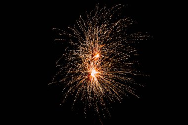 Dual Fireworks Illuminate Night Sky