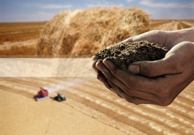 Tarımı temsil eden kavramsal bir görüntü 