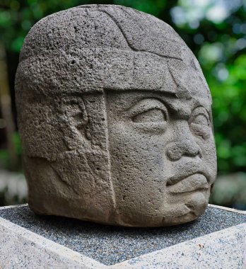 Muazzam Olmec kafası, Olmec uygarlığı tarafından yapılmış insan kafalarını tasvir eden bir dizi taş heykel, Olmec halkının sanatsal ve mühendislik yeteneğinin bir kanıtı.