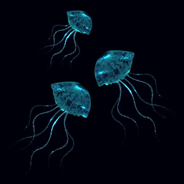 Okyanus tabanında üç floresan denizanası.