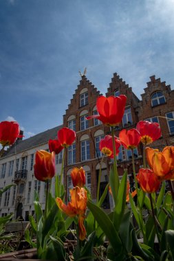 Bruges 'de çok ünlü bir evde çatıda altın geyik boynuzu var. Renkli çiçeklerle güzel bir kompozisyon. Mavi bir gökyüzü ve biraz bulut..